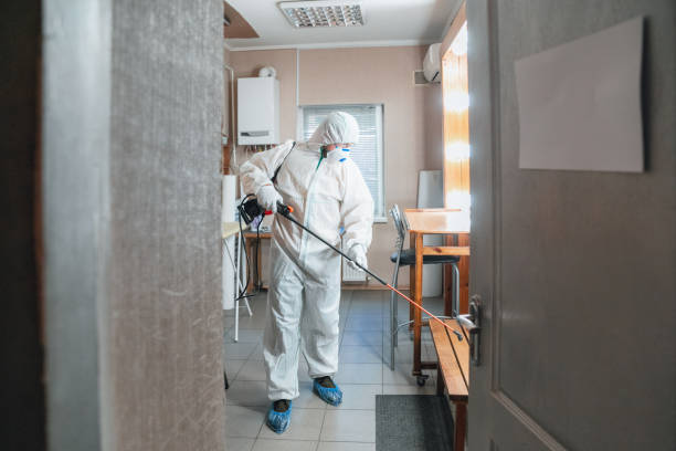 Best Post-Construction Mold Inspection  in St Helens, OR