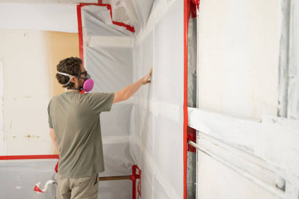 Best Attic Mold Removal  in St Helens, OR