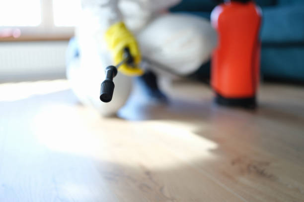 Best Mold Odor Removal Services  in St Helens, OR
