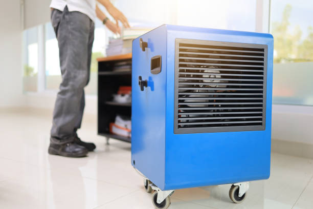 Best Mold Removal for HVAC Installations  in St Helens, OR
